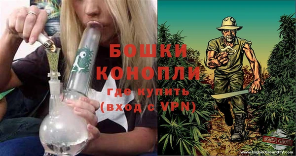 ПСИЛОЦИБИНОВЫЕ ГРИБЫ Вязьма