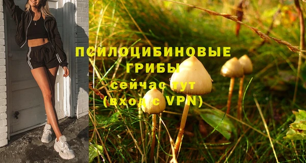 мяу мяу кристалл Горно-Алтайск