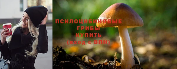 мяу мяу кристалл Горно-Алтайск