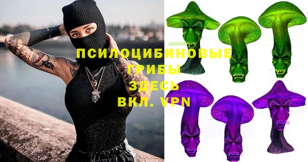 мдпв Вяземский