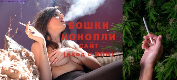 соль ск Горнозаводск