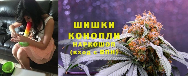 дмт Горняк